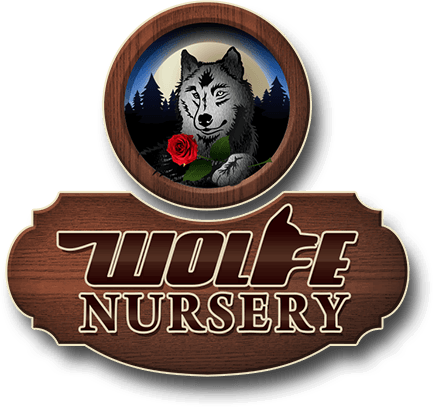 Wolfe Nursery